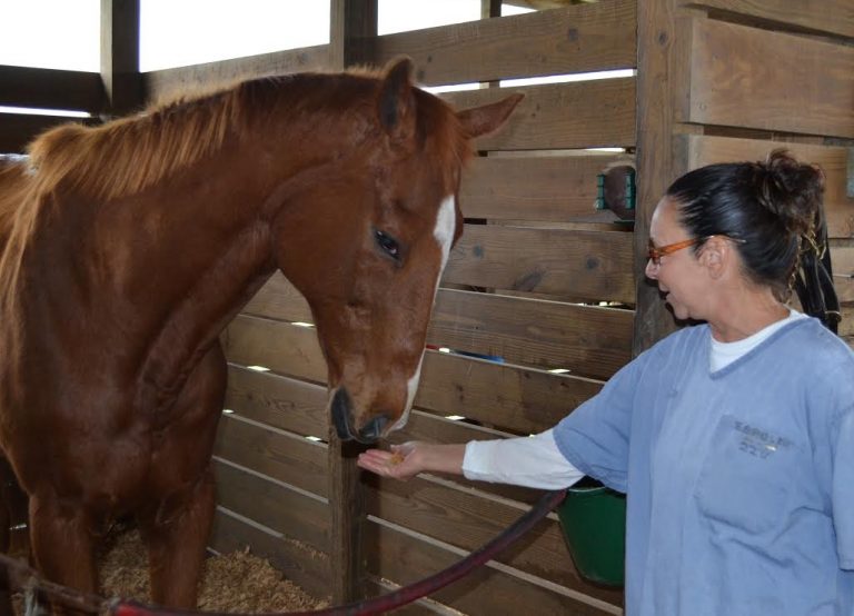 Carterista, 27, and Esposito met at the Thoroughbred Retirement Foundation’s Second Chances program in Florida. The meeting changed the life for the former inmate, who now works for the Florida Horse Park. Photo by Sally Moehring, FTBOA